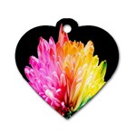 Abstract, Amoled, Back, Flower, Green Love, Orange, Pink, Dog Tag Heart (Two Sides) Front