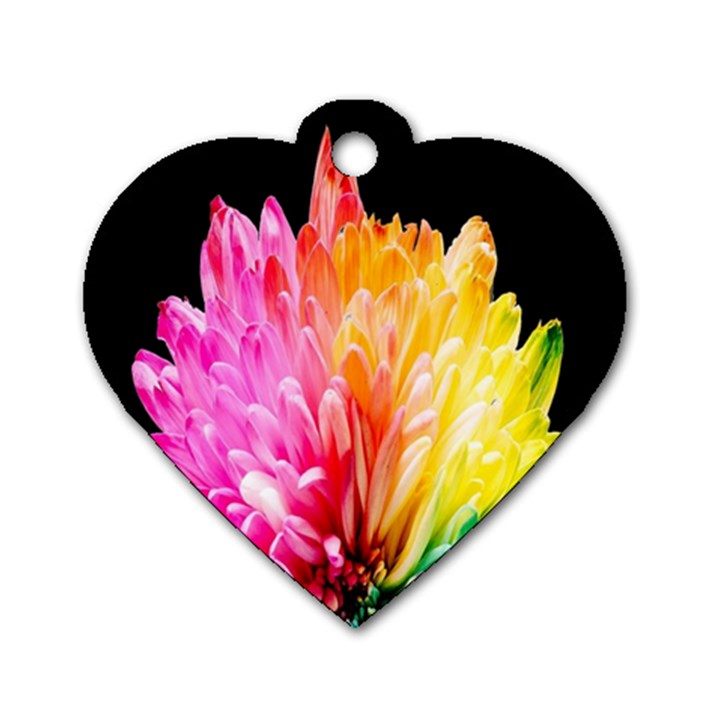 Abstract, Amoled, Back, Flower, Green Love, Orange, Pink, Dog Tag Heart (Two Sides)