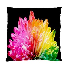 Abstract, Amoled, Back, Flower, Green Love, Orange, Pink, Standard Cushion Case (two Sides) by nateshop