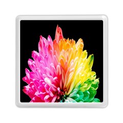 Abstract, Amoled, Back, Flower, Green Love, Orange, Pink, Memory Card Reader (square) by nateshop