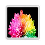 Abstract, Amoled, Back, Flower, Green Love, Orange, Pink, Memory Card Reader (Square) Front