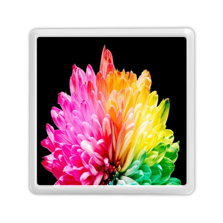 Abstract, Amoled, Back, Flower, Green Love, Orange, Pink, Memory Card Reader (Square)