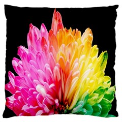 Abstract, Amoled, Back, Flower, Green Love, Orange, Pink, Large Cushion Case (one Side) by nateshop