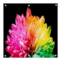 Abstract, Amoled, Back, Flower, Green Love, Orange, Pink, Banner And Sign 3  X 3  by nateshop