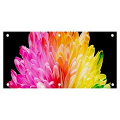 Abstract, Amoled, Back, Flower, Green Love, Orange, Pink, Banner And Sign 6  X 3 