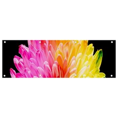 Abstract, Amoled, Back, Flower, Green Love, Orange, Pink, Banner And Sign 9  X 3  by nateshop