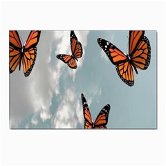 Aesthetic Butterfly , Butterflies, Nature, Postcard 4 x 6  (pkg Of 10) by nateshop