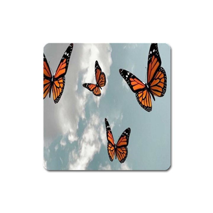 Aesthetic Butterfly , Butterflies, Nature, Square Magnet