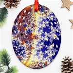 Psychedelic Colorful Abstract Trippy Fractal Mandelbrot Set Ornament (Oval Filigree) Front