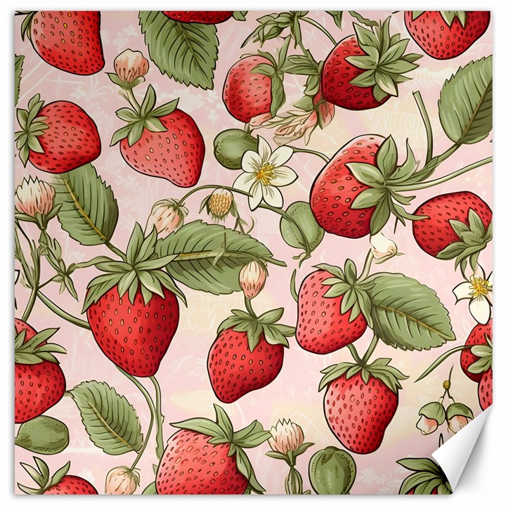 Strawberry Fruit Canvas 12  x 12 