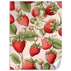 Strawberry Fruit Canvas 36  X 48  by Bedest