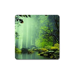 Trees Forest Artwork Nature Beautiful Landscape Square Magnet by Sarkoni