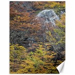 Wilderness Palette, Tierra Del Fuego Forest Landscape, Argentina Canvas 12  x 16  11.86 x15.41  Canvas - 1