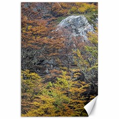 Wilderness Palette, Tierra Del Fuego Forest Landscape, Argentina Canvas 24  X 36  by dflcprintsclothing