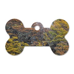 Wilderness Palette, Tierra Del Fuego Forest Landscape, Argentina Dog Tag Bone (one Side) by dflcprintsclothing