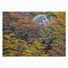 Wilderness Palette, Tierra Del Fuego Forest Landscape, Argentina Large Glasses Cloth (2 Sides) by dflcprintsclothing