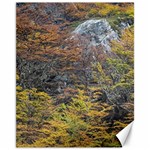 Wilderness Palette, Tierra Del Fuego Forest Landscape, Argentina Canvas 11  x 14  10.95 x13.48  Canvas - 1