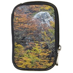 Wilderness Palette, Tierra Del Fuego Forest Landscape, Argentina Compact Camera Leather Case by dflcprintsclothing