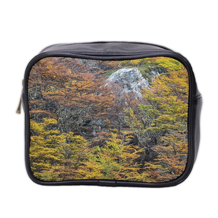 Wilderness Palette, Tierra Del Fuego Forest Landscape, Argentina Mini Toiletries Bag (Two Sides)