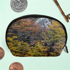 Wilderness Palette, Tierra Del Fuego Forest Landscape, Argentina Accessory Pouch (large) by dflcprintsclothing