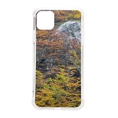 Wilderness Palette, Tierra Del Fuego Forest Landscape, Argentina Iphone 11 Pro Max 6 5 Inch Tpu Uv Print Case by dflcprintsclothing