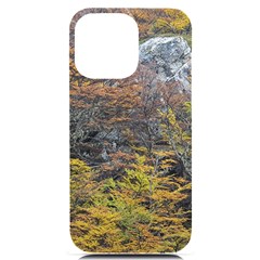 Wilderness Palette, Tierra Del Fuego Forest Landscape, Argentina Iphone 14 Pro Max Black Uv Print Case