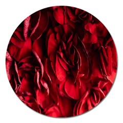 Followers,maroon,rose,roses Magnet 5  (round) by nateshop