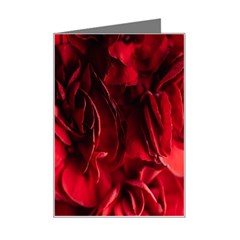 Followers,maroon,rose,roses Mini Greeting Card by nateshop