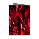 Followers,maroon,rose,roses Mini Greeting Card Right