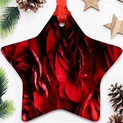 Followers,maroon,rose,roses Star Ornament (two Sides) by nateshop