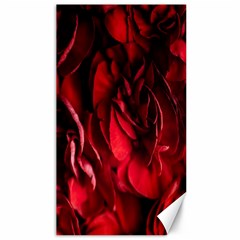 Followers,maroon,rose,roses Canvas 40  X 72  by nateshop