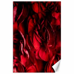 Followers,maroon,rose,roses Canvas 24  X 36  by nateshop