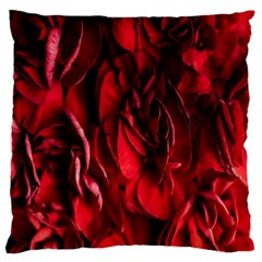 Followers,maroon,rose,roses Large Premium Plush Fleece Cushion Case (two Sides) by nateshop