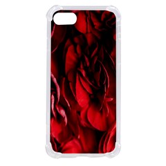 Followers,maroon,rose,roses Iphone Se