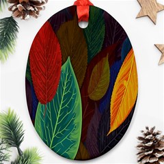 Leaves, Colorful, Desenho, Falling, Ornament (oval)