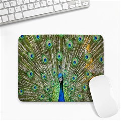 Peacock,army 1 Small Mousepad by nateshop