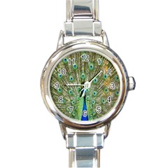 Peacock,army 1 Round Italian Charm Watch by nateshop