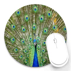 Peacock,army 1 Round Mousepad by nateshop