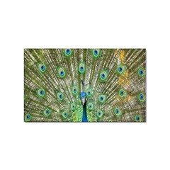 Peacock,army 1 Sticker Rectangular (10 Pack) by nateshop