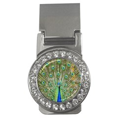 Peacock,army 1 Money Clips (cz)  by nateshop