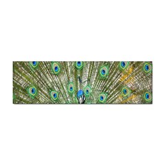 Peacock,army 1 Sticker (bumper) by nateshop