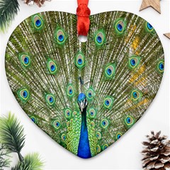 Peacock,army 1 Heart Ornament (two Sides) by nateshop