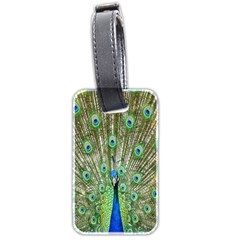 Peacock,army 1 Luggage Tag (two Sides) by nateshop