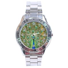 Peacock,army 1 Stainless Steel Analogue Watch by nateshop