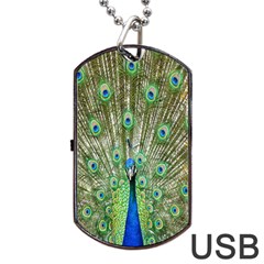 Peacock,army 1 Dog Tag Usb Flash (one Side)