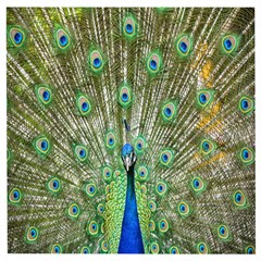 Peacock,army 1 Wooden Puzzle Square by nateshop