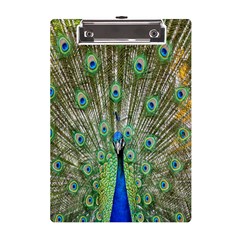 Peacock,army 1 A5 Acrylic Clipboard by nateshop