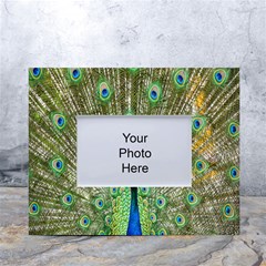 Peacock,army 1 White Tabletop Photo Frame 4 x6 