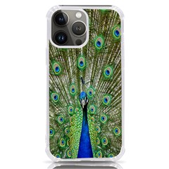 Peacock,army 1 Iphone 13 Pro Max Tpu Uv Print Case by nateshop