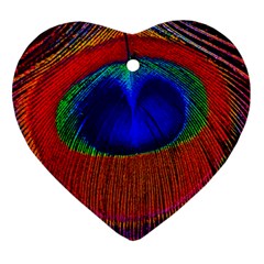 Peacock-feathers,blue 1 Ornament (heart)